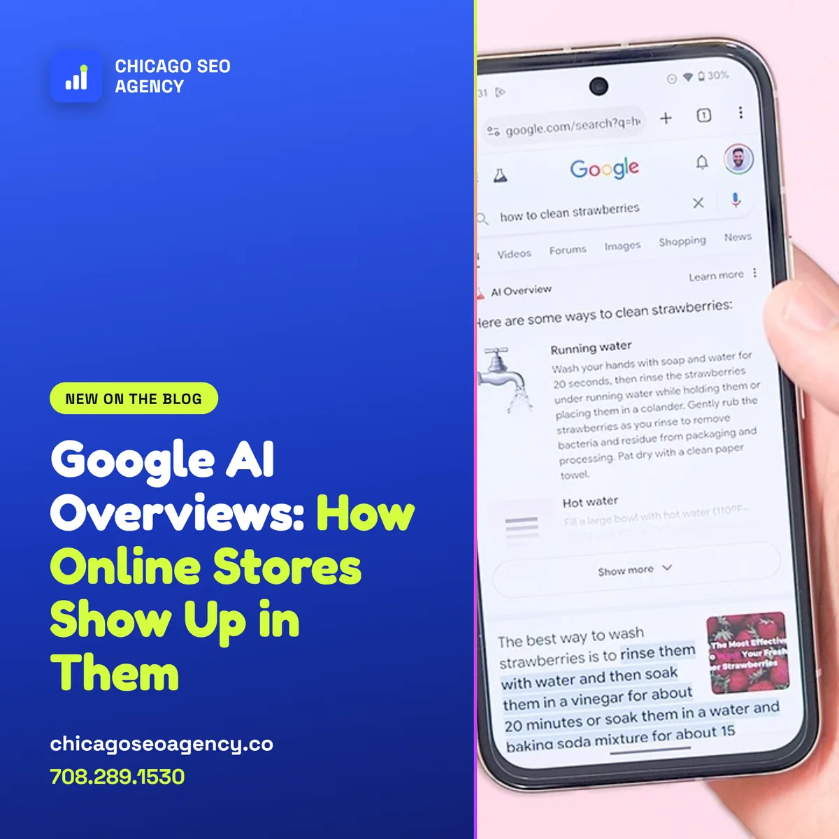 Google AI Overviews, how online stores show up in them, a guide from Chicago SEO Agency