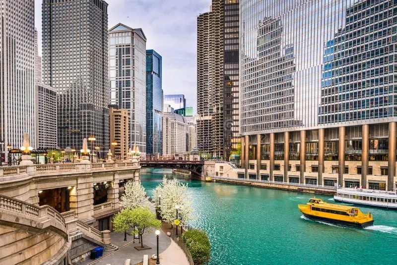 Chicago local SEO that turns nearby searches into orders.