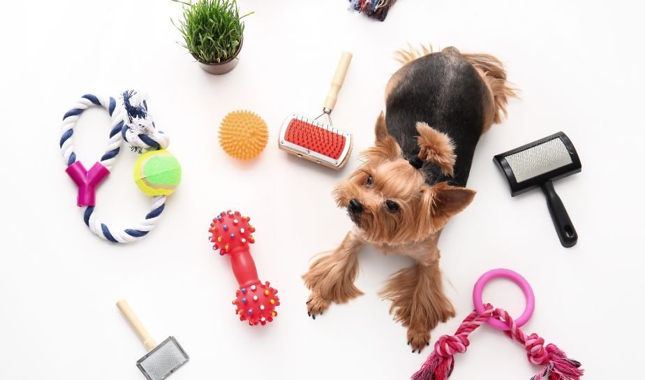 Why product and B2B brands choose us.