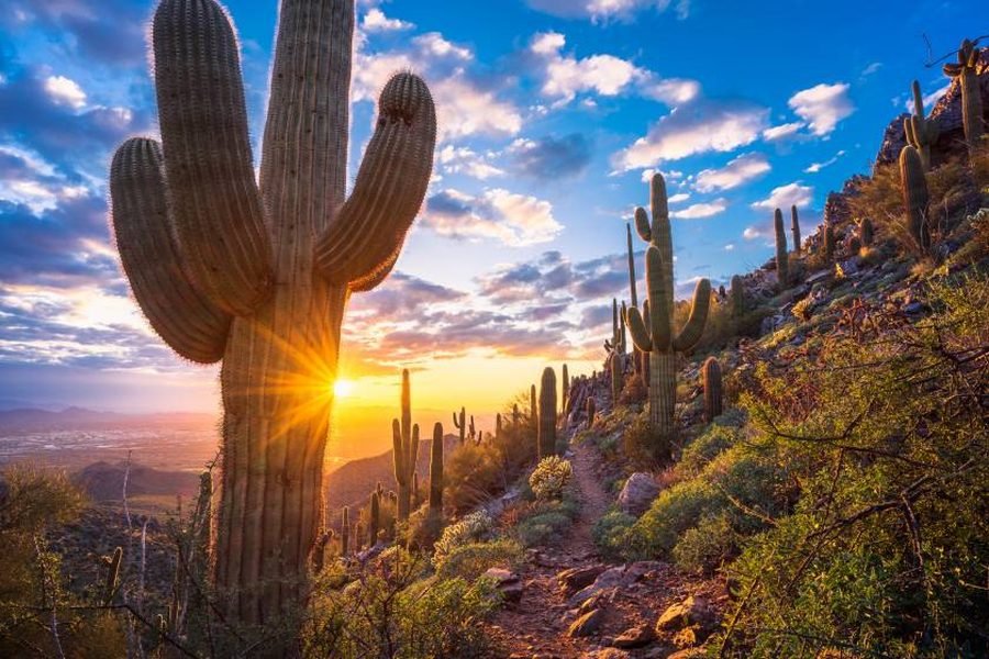 Arizona